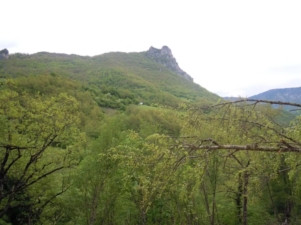 Плужине: Rafting Camp Green Tara