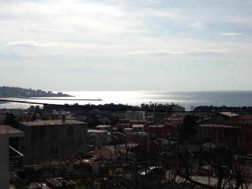 Бар: Holiday Home Malic