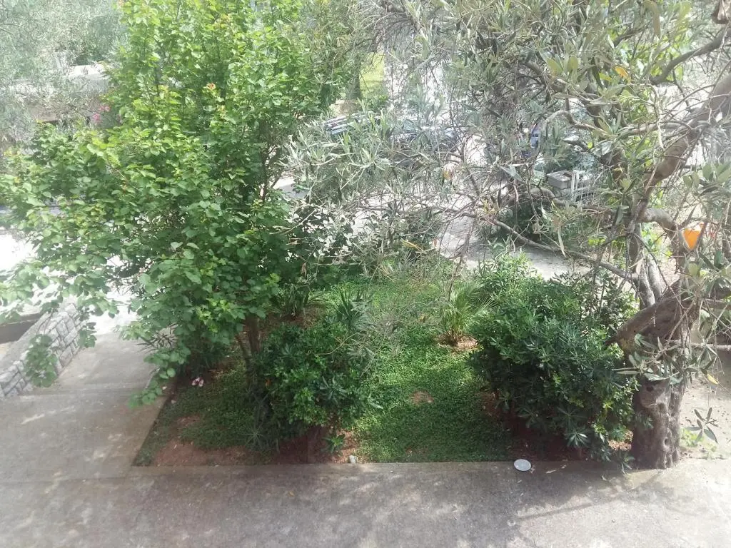 Петровац: Lazar Apartments