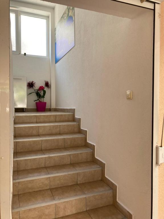 Будва: Guest House Andrea