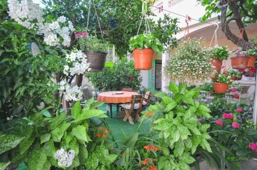 Будва: Guest House Andrea