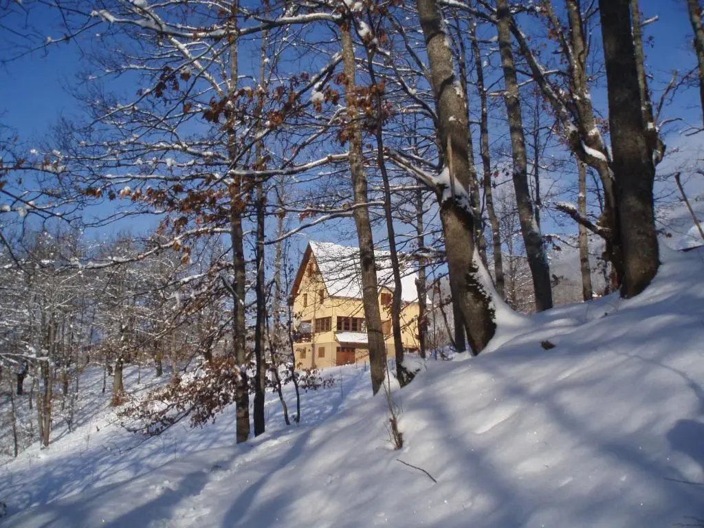 Guest House Tara Canyon — фото 1