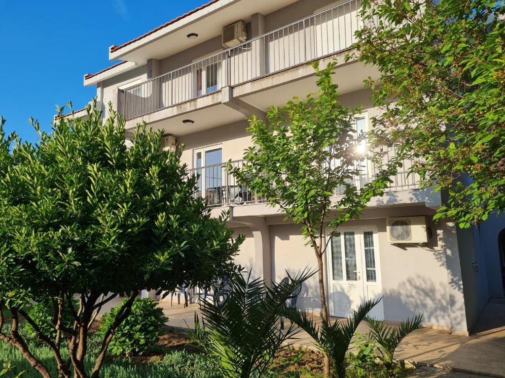 Бар: Apartments Macaso