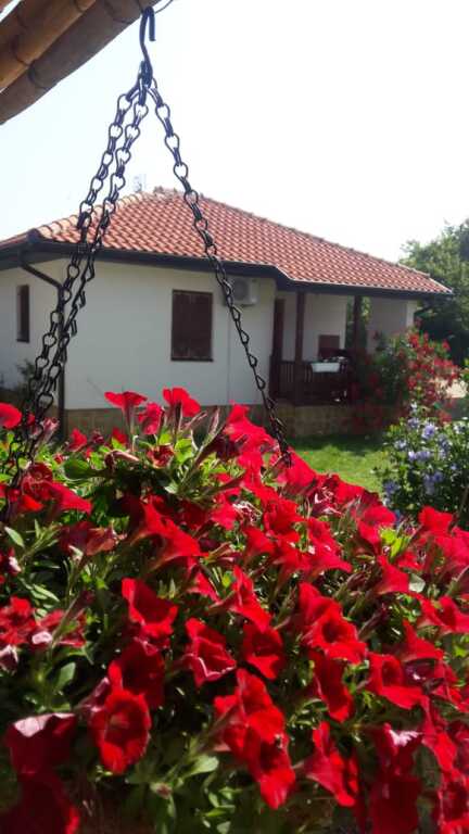 Ульцинь: Апартаменты Eco Village San