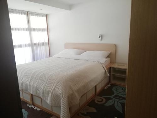 Колашин: Apartments Šćepanović