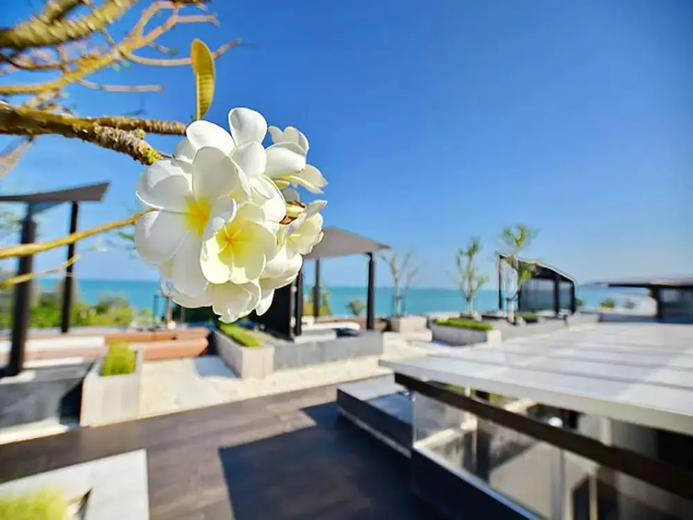 Хуахин: Sanctuary Hua Hin