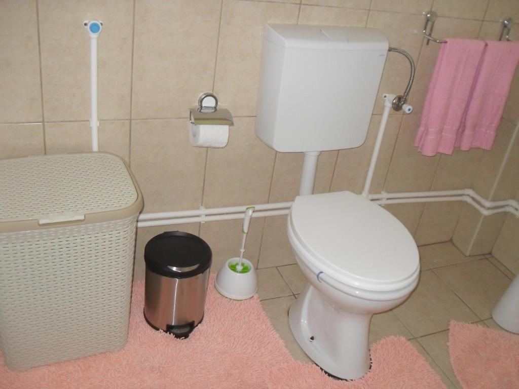 Жабляк: Guest House Baranin Pitomine