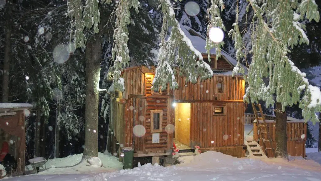 Андриевица: Lodge Between The Pine Trees