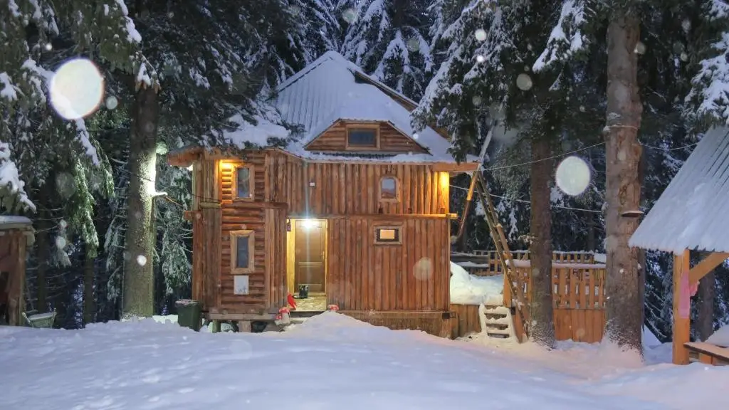 Lodge Between The Pine Trees — фото 1