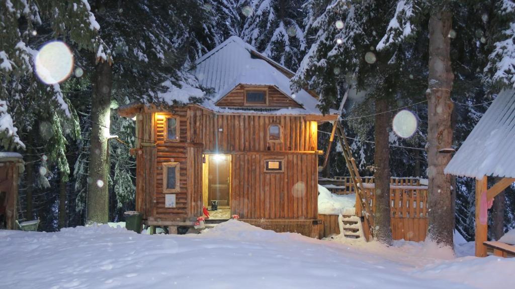 Андриевица: Lodge Between The Pine Trees