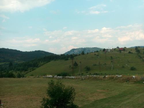 Каньон Tara: Holiday Home Usovic
