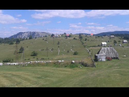 Каньон Tara: Holiday Home Usovic