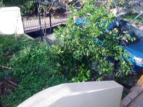 Добро Вода: Holiday Home Mikki
