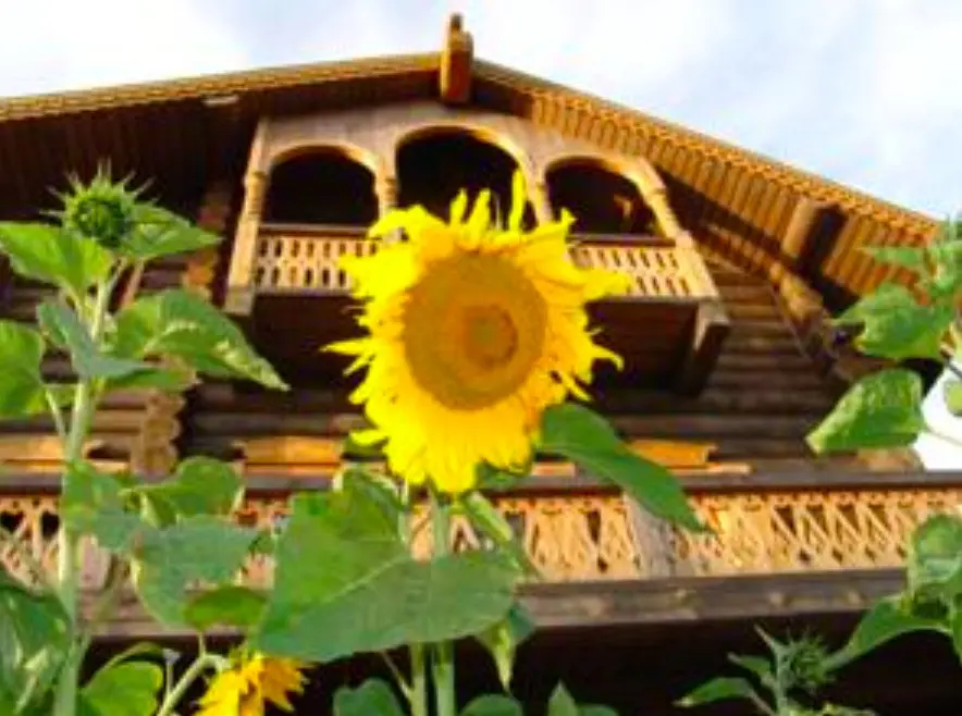 Петергоф: Amaranta Shuvalovka Russian Village