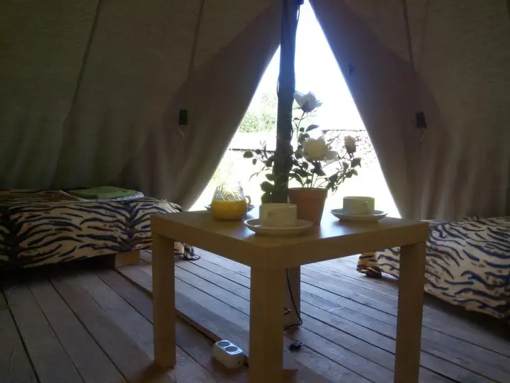 Петергоф: CampTom Camping