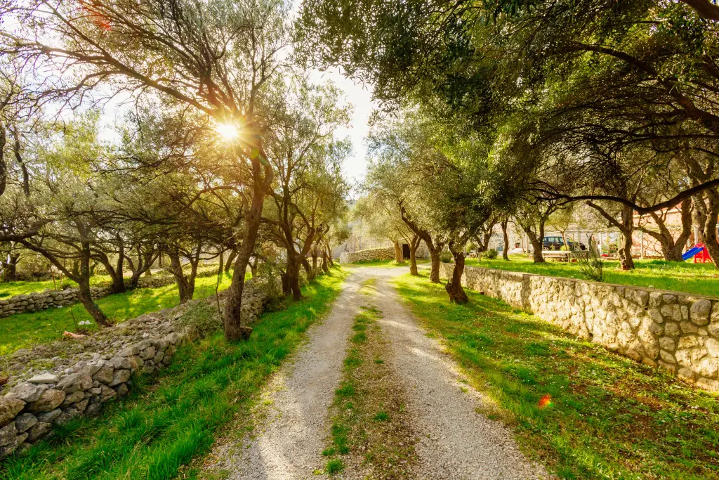 Бечичи: Апартаменты The Olive Paradise