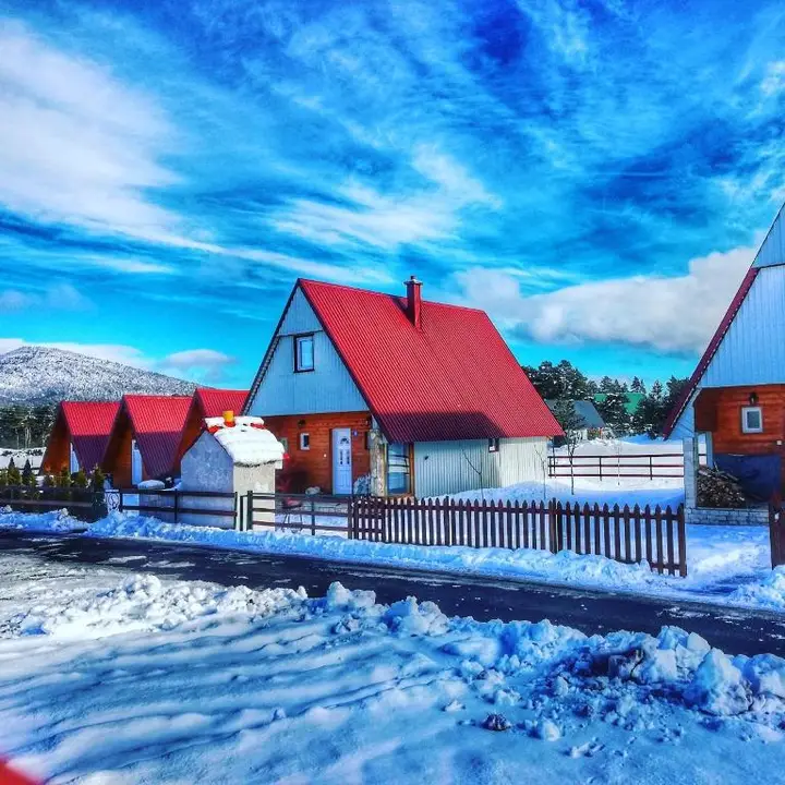 Каньон Tara: Cottage Borje