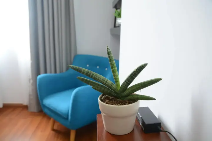 Хошимин: Chillaxroom 1