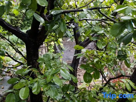 Пекин: Beijing Great Wall Story Homestay