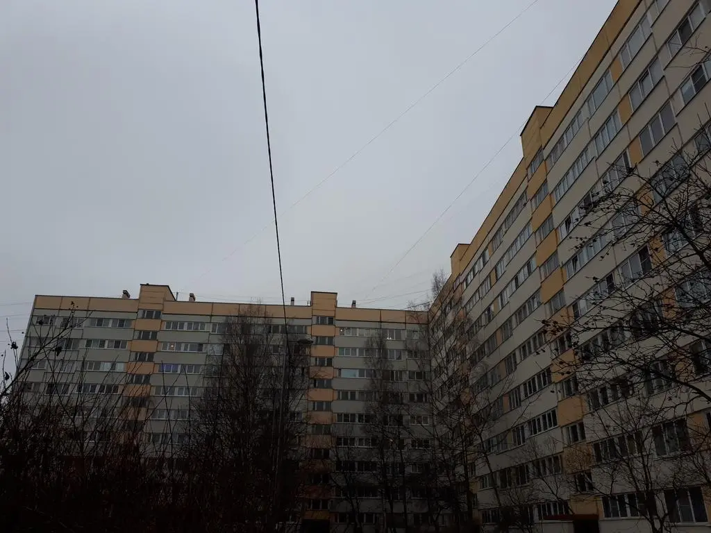 Санкт-Петербург: Гостевой дом на Ветеранов
