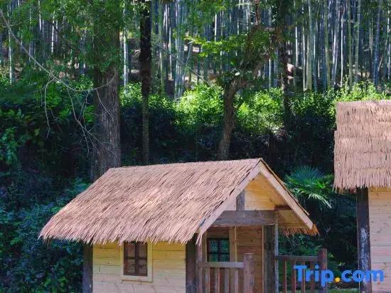 Хучжоу: Anji Jane Eyre Hot Spring B&B