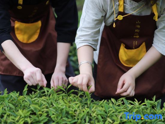 Наньпин: Wuyishan Hongpao Xunyou Tea Space Aesthetics Holiday Mountain Residence