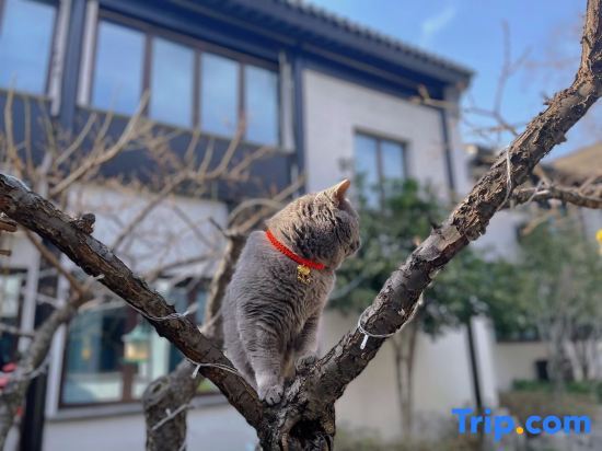 Сучжоу: Loulan Courtyard Hotel (Suzhou Pingjiang Road Humble Administrator's Garden)