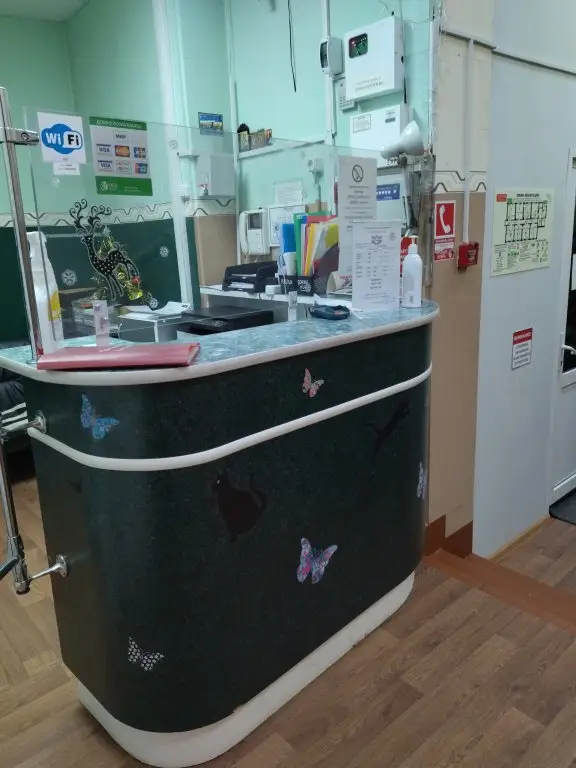 Санкт-Петербург: Mini-hotel Uyut