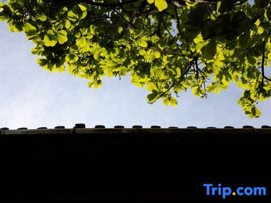 Лицзян: Lijiang Ancient City Yufu Courtyard (Sifang Street Branch)