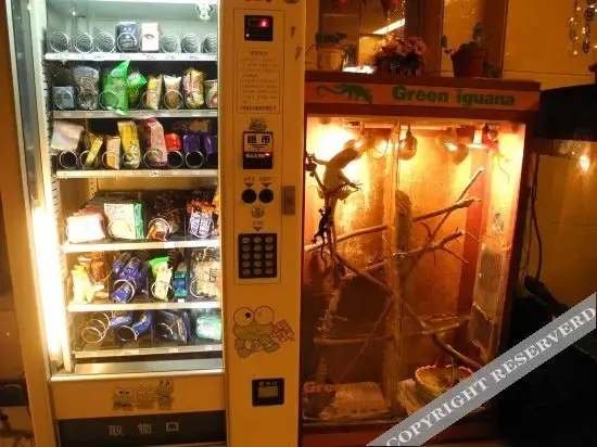 Чжэнчжоу: Kaikai Hotel (Zhengzhou Railway Station Subway Station)