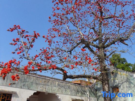 Мейчжу: Ci'enlu Country Art Hotel