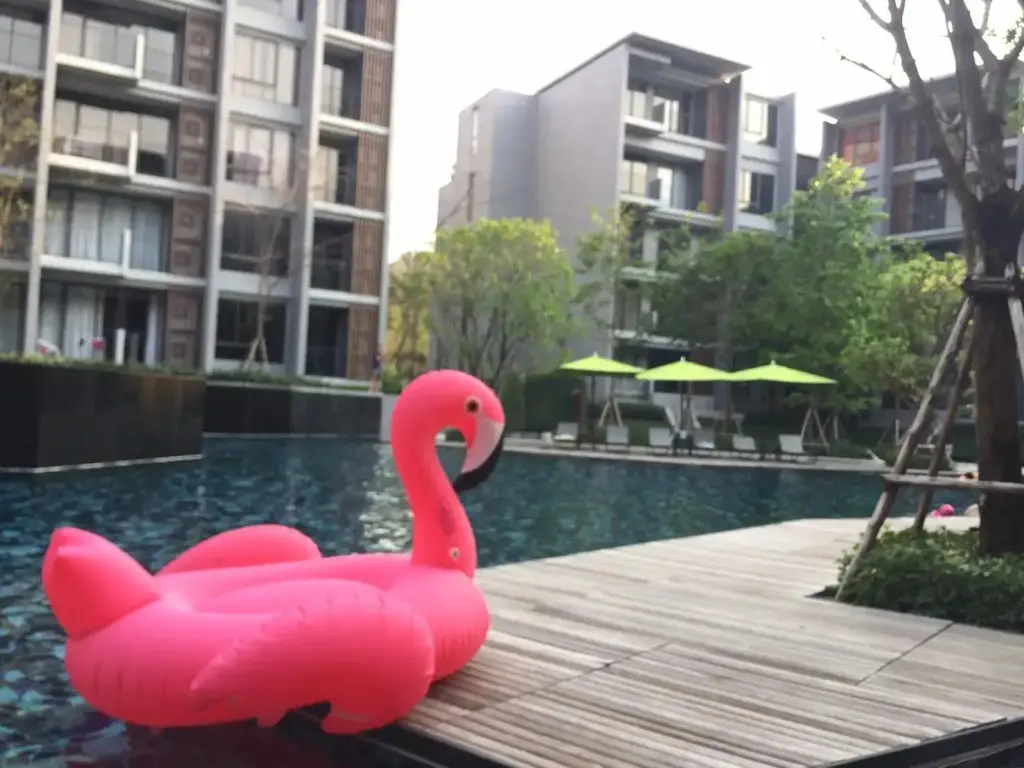 Пак-Чонг: Enjoy At The Valley Khaoyai