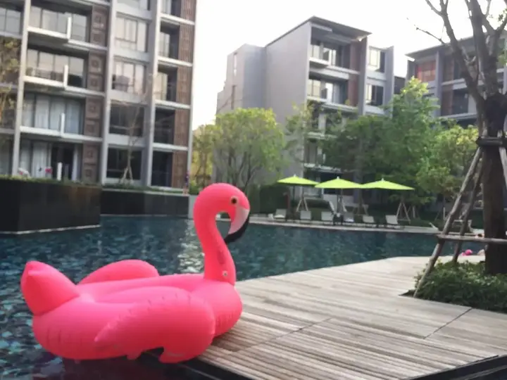 Пак-Чонг: Enjoy At The Valley Khaoyai