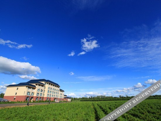 Ичунь Хэйлунцзян: Meihuahe Resort Hotel