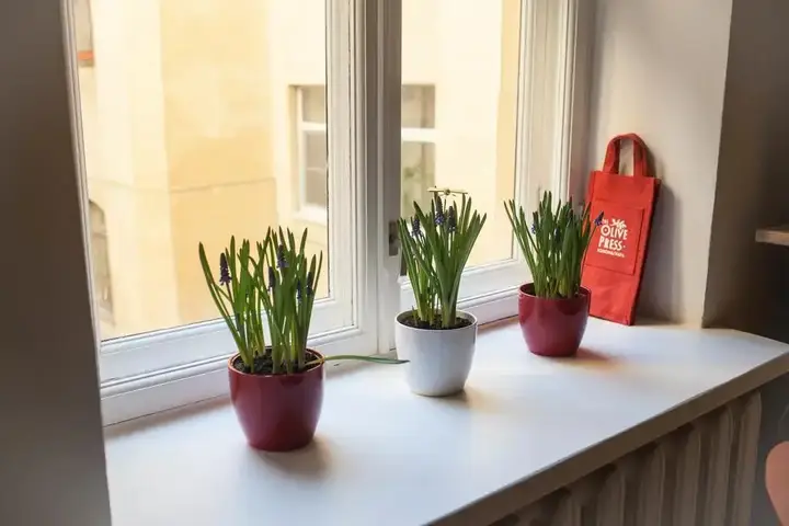 Санкт-Петербург: Bluedoor Apartment