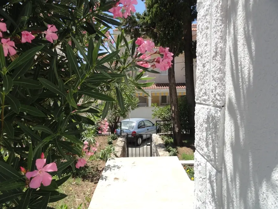 Петровац: Гостевой Дом The house with pool in Petrovac