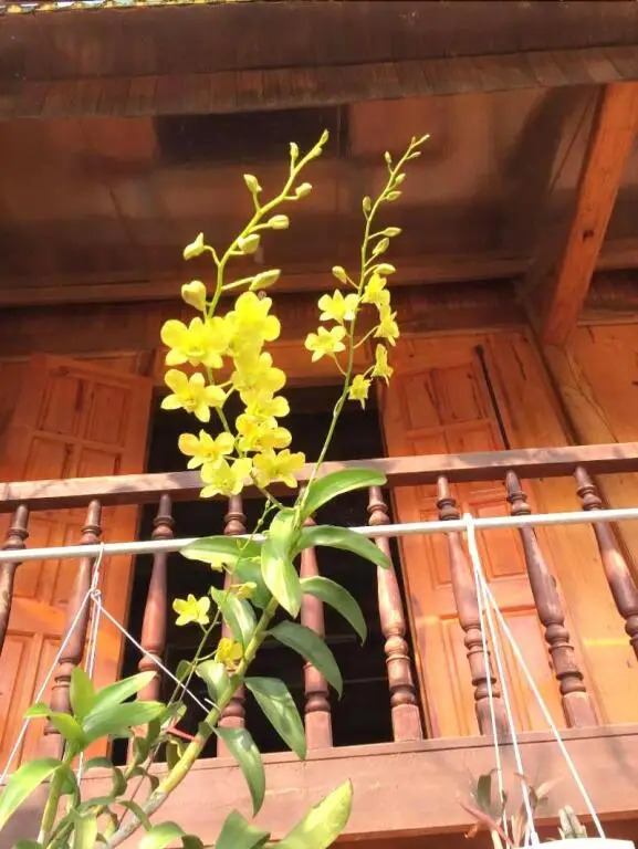 Пак Нгои: Xoi Homestay Ba Be Lake