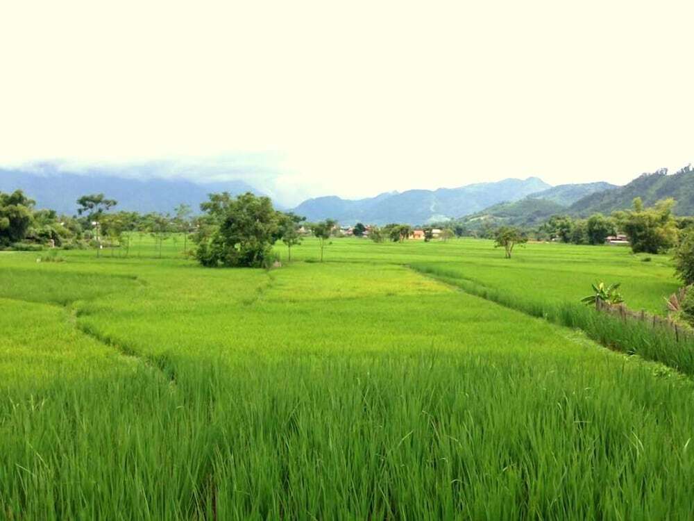 Пак Нгои: Xoi Homestay Ba Be Lake