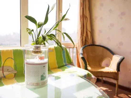 Тяньцзинь: Tianjin Binyue Apartment