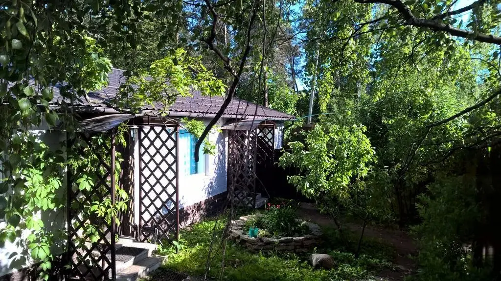 Ломоносов: Cottage Martyshkino