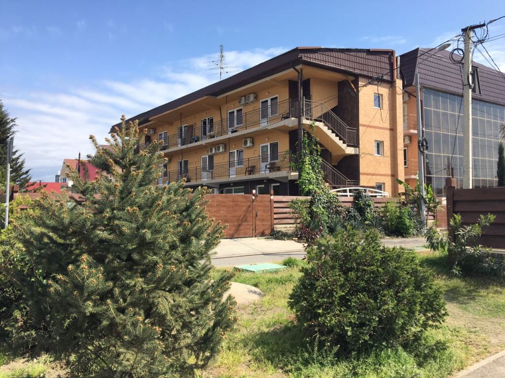 Панда — фото 1
