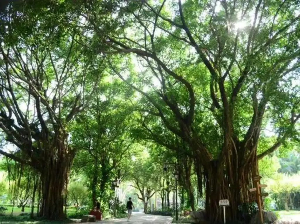 Фучжоу: Sanfangqixiang weienshiguang hotel