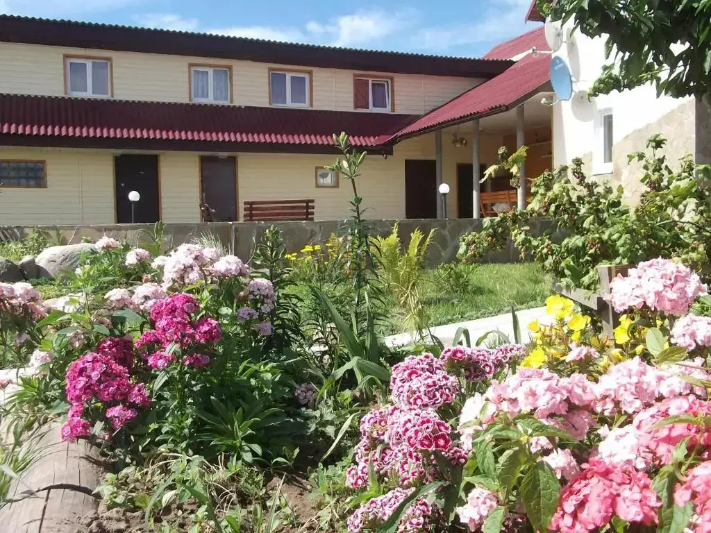 Могилёв: AgroecoUsadba U Druzey