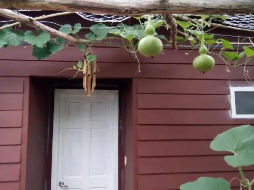 остров Фукуок: Seaside Homestay