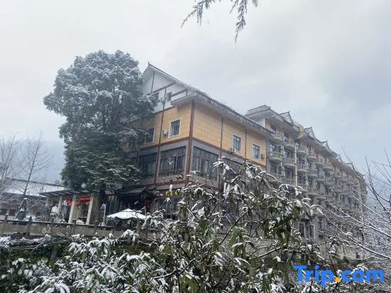 Вэньчуань: Anping Hotel (Qingcheng Houshan Tai'an Ancient Town Scenic Area)