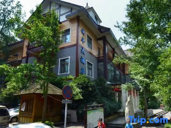 Вэньчуань: Anping Hotel (Qingcheng Houshan Tai'an Ancient Town Scenic Area)