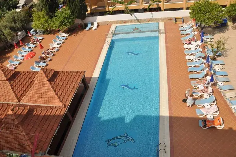 Catty Cats Garden Hotel — фото 1
