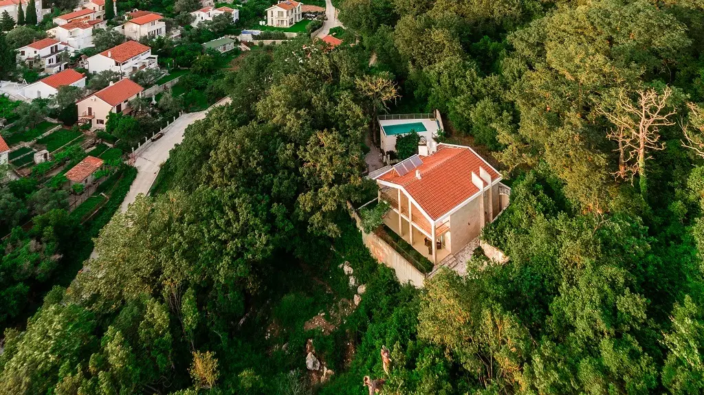 Delphinium Villa — фото 1