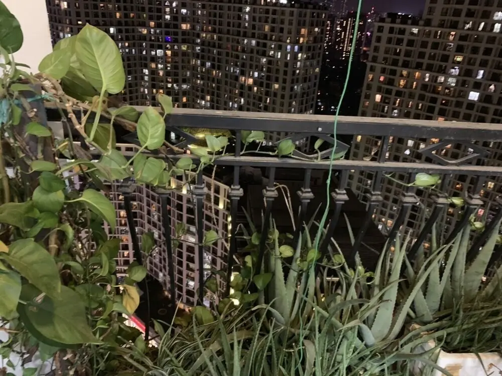 Ханой: asahi Luxstayr4 Royal City2br Apartment