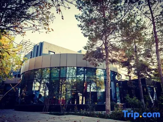 Урумчи: Victoria Xingzhou Hotel urumqi